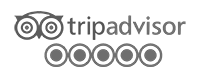 tripadvisor_gris